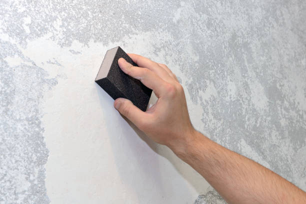 Best Asbestos and Lead Testing During Mold Inspection  in North Lynnwood, WA