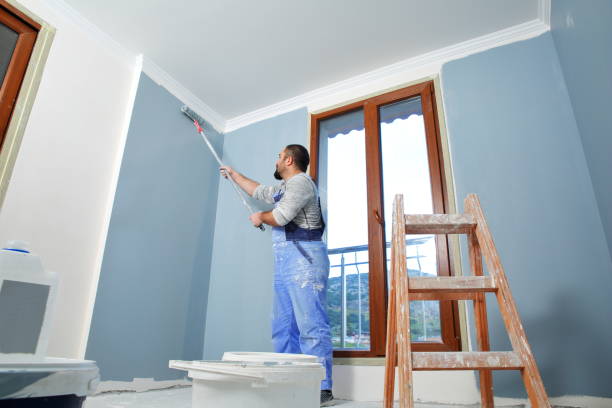 Best Comprehensive Air Testing for Mold Contaminants  in North Lynnwood, WA