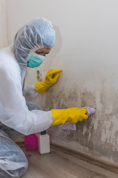 Best Air Quality Testing for Mold Spores  in North Lynnwood, WA