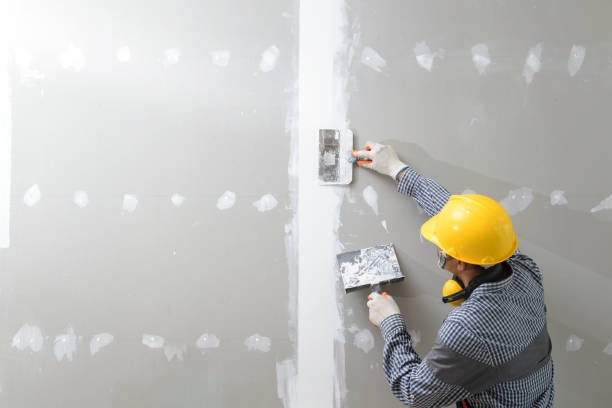 Mold Removal for HVAC Installations in North Lynnwood, WA