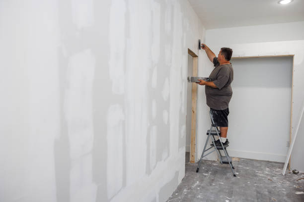Best Forensic Mold Investigation  in North Lynnwood, WA