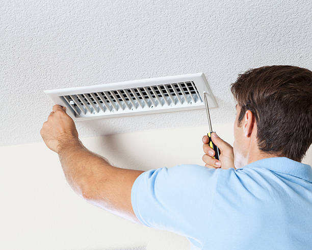 Best Dehumidification Services  in North Lynnwood, WA