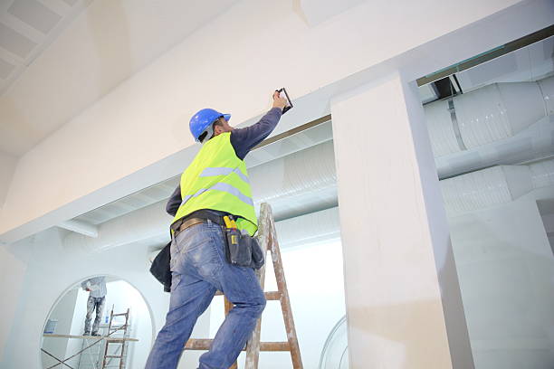 Best Forensic Mold Investigation  in North Lynnwood, WA