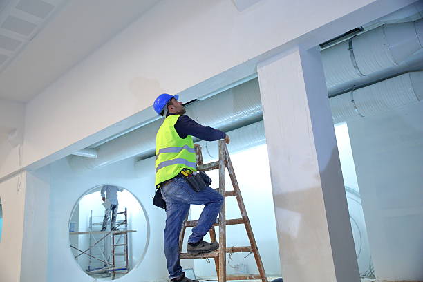 Best Mold Damage Restoration  in North Lynnwood, WA